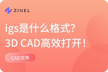 igs是什么格式